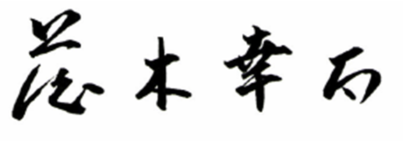 藤木幸太